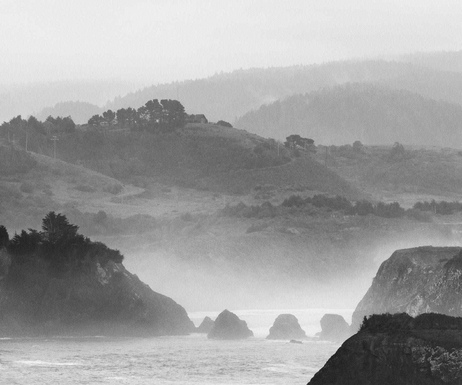 Misty coastal headlands and sea stacks shrouded in fog at Cape Arago, Oregon